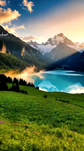 Swiss🇨🇭Nature☘️🌿🌱🍀💐🌹 #Nature #beauty #swizerland🇨🇭#viralvideos #foryoupage❤️❤️🥀🌹💐 