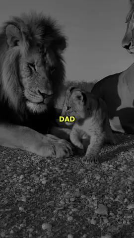 Dad said: They didn’t love your heart… they loved what you gave. When you stopped, they left. 🧠💔 #fyp #viral #motivation #mindset #realtalk