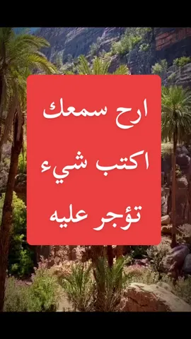 القارئ ريان المحيسني #ريان_المحيسني #سورة_النمل #قران_كريم_ارح_سمعك_وقلبك #quran #fypシ゚ 
