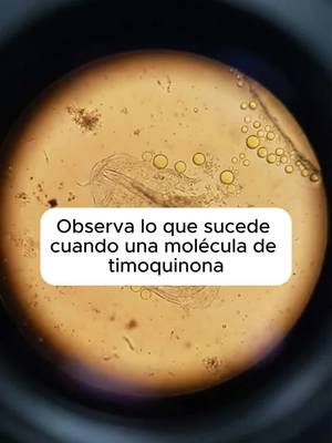 ¿Sigues inflamado aunque “comes bien”? Prueba esto