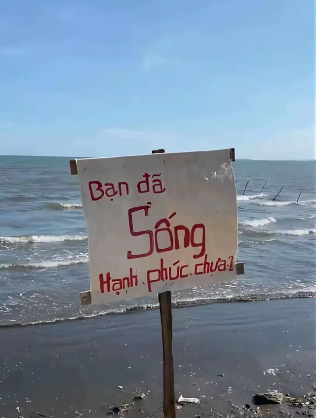 #tramcamxuc #bandasonghanhphucchua #viral #xhuong #xh 