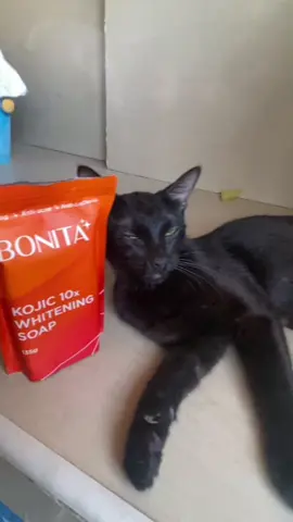 Pusa ko magpapatunay na nakakaputi talaga too😂#bonitasoap #trending #bonita #fyppppppppppppppppppppppp 
