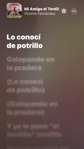 #miamigotordillo🐴 #VicenteFernandez 
