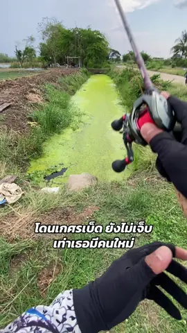 #กบยาง #ฝากกดติดตามด้วยนะครับ #ตกปลาช่อนข้างทาง #คนตกปลา #ตกปลาโคราช 