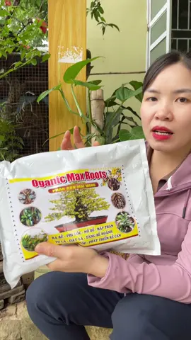 Phân bón cho hoa mai