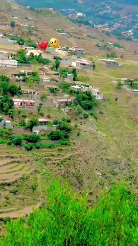 Ta charta ye janana gul kasono ……#viralvideo #foryoupage❤️❤️ #vairal_video_tiktok #viralvideo @MR.HILALOO @mrwisaloo44 