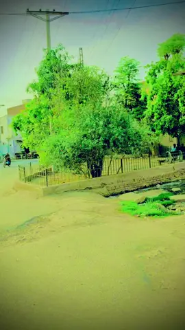 #deraghazikhan_city♡♡♡ 