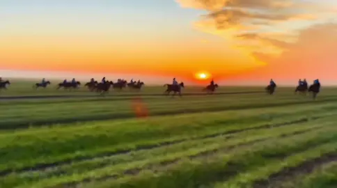 Naadam aisui #naadam #mongolian #mongolia 