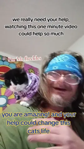 #greatfuldead #cat#kitty #homeless #cats 