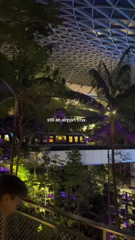 #changiairport #vietnam #viral #fyp #goviral 