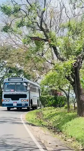 කුඩු මුදලාලි පැද්ද හැම වාහනේම 🩵