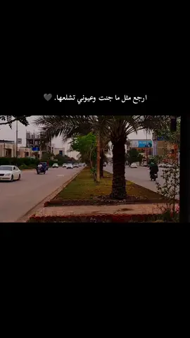 #ريف المشخاب: 🕊 #تصويري  #النجف_الاشرف  #متابعه_ولايك_واكسبلور_فضلا_ليس_امر  #مشاهير_تيك_توك 