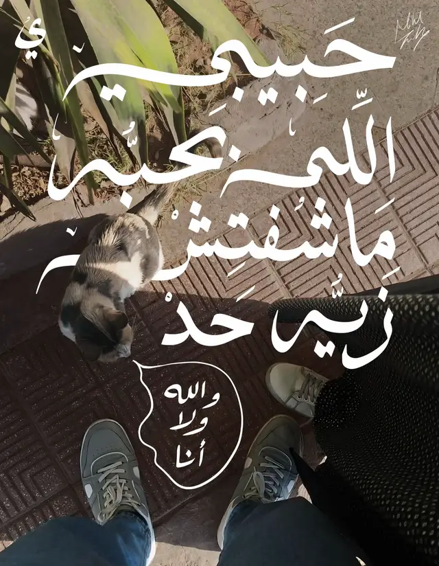 ⁨حَبيبي اللي بَحبه ما شُفتِش زيُّه حَد . . . . . . . . . #حبيبي_اللي_بحبه_مشوفتش_زيه_حد #سيد_مكاوي #بدون_موسيقى #خط #حب⁩