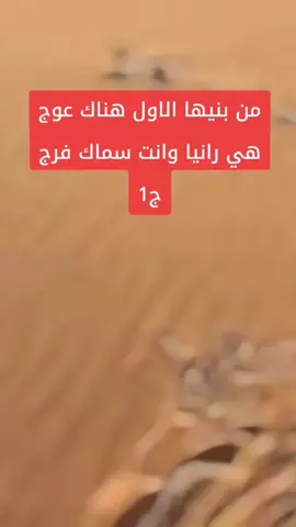 #في هذا اليوم .. من بينها الاول عناك عوج هي رانيا وانت سماك فرج .#💚💚💚 #colonel 