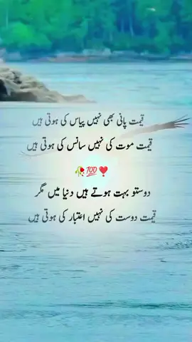#mirzaghalib #urdupoetry #foryou 