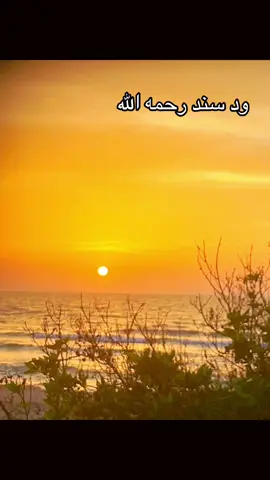 #شعراء_وذواقين_الشعر_الشعبي #creatorsearchinsights #مشاهير_تيك_توك #سودانيز_تيك_توك_مشاهير_السودان🇸🇩 