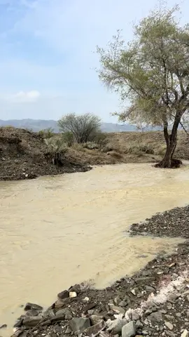 🍁🍁🍁 #balochistan_beauty #viralvideo #fyppppppppppppppppppppppp #creatorsearchinsights #motherland @UM3R @🥀مسلم شرف دشتی 🥀 @Ajaz dashti 