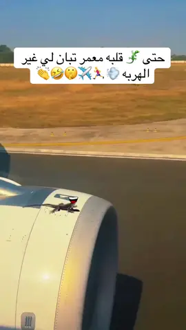 😂😂😂😂