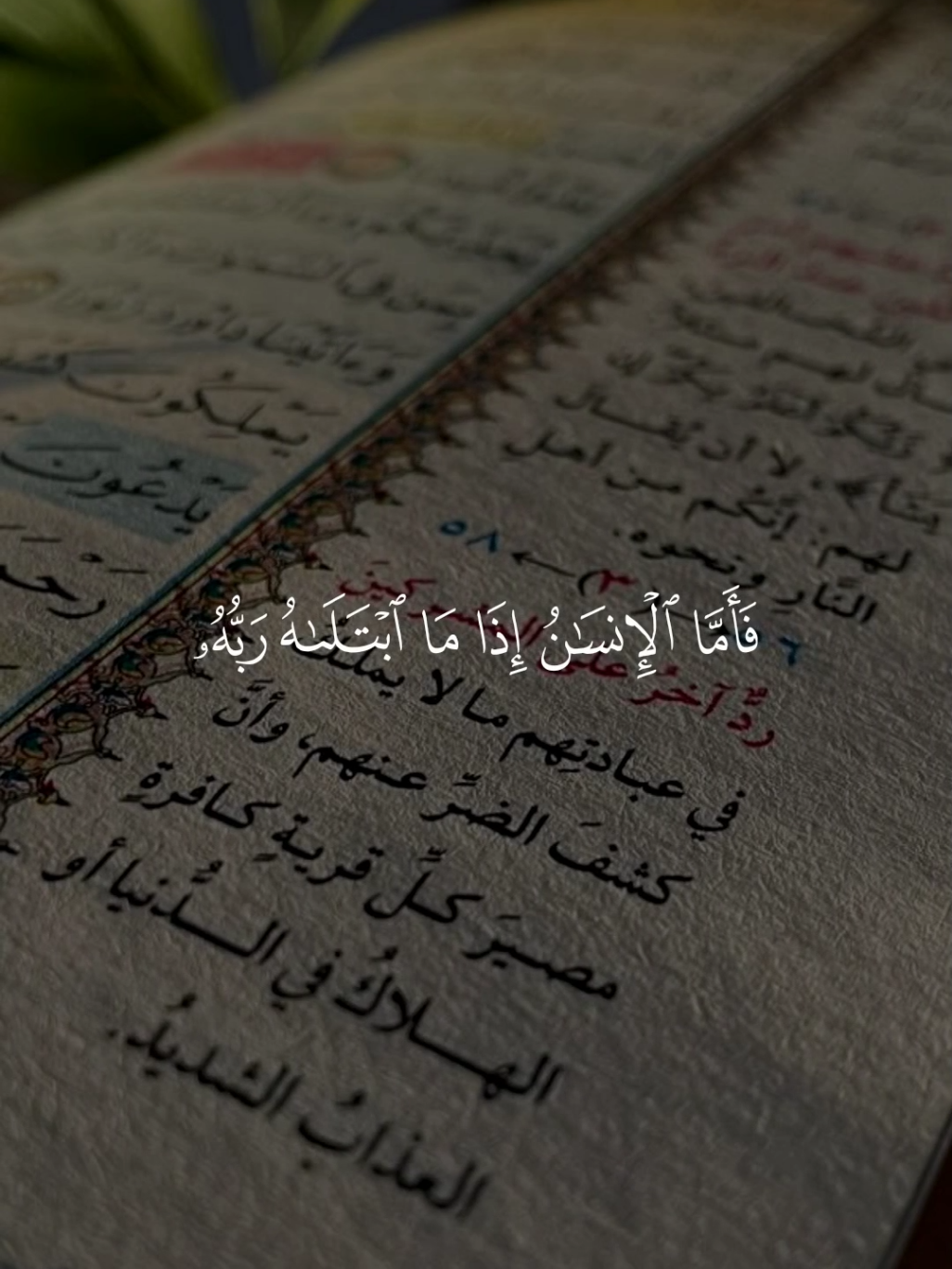 ارح قلبك وسمعك بالقران 🥺#قران_كريم #قران_كريم_ارح_سمعك_وقلبك #سعدالغامدي #القران_الكريم 