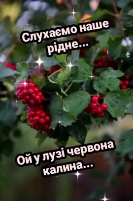 #слухаємо #гарна #українськапісня #♥️♥️♥️♥️ 