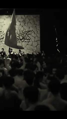 #امجد_الشغانبي #مسلم_بن_عقیل #اجود_الكعبي 