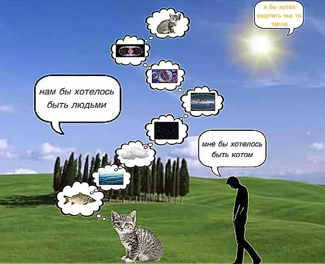 идеи постепенно угасают, но рецепта на колеса у меня уж е нет #сюрреализм #surrealism #fyp #мемы #шизопост  @Hlorka 