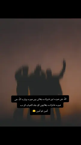 اللّٰہ میرے شہزادے بھائیوں کو ہمیشہ سلامت رکھے خوش رکھے آباد رکھے اللّٰہ میرے بھائیوں کو جلد کامیاب کریں اللّٰہ میرے بھائیوں کی ہر خواہش کو پورا کرے آمین ثم آمین 🤲🥀🥰😘#repost🤌🥹 #tiktokteamviralmyvideo #unfreezemyaccountplz🥹 #mrs_rashid729 
