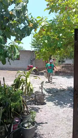 los tíos llegando de trabajar 
