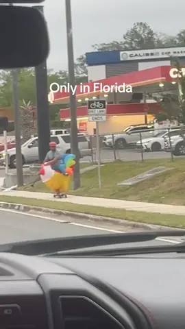 #floridaman #chicken #gainsville #fyp