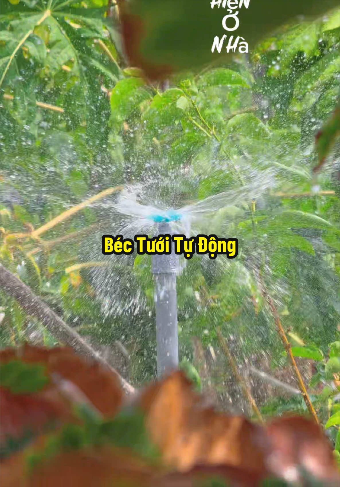 Tưới nước tự động trong vườn bằng béc tưới nước 360 độ #hienonha 