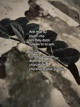 Anh thật sự muốn cho..#xuhuongtiktok #xhhhhhhhhhhhhhhhhhhhhhhh #viralvideo #cap #tinhyeu 