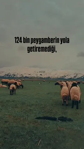 #insan #ilkbahar #fyppppppppppppppppppppppp #paylaşım #dua 