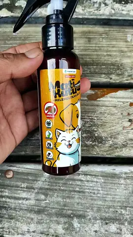 Spray kutu kucing