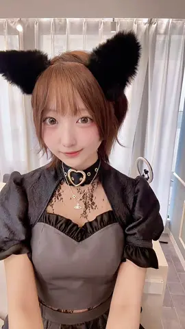 ゴールデンウィーク何する〜？ねこする〜？ @秋葉原クラリスベール  #秋葉原コンカフェ #シスター #猫耳 #cosplay #東京
