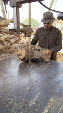 Wood Cutting 🐓 Yeh hai real cutting 🔥 No editing sirf asli kaam 💪 #shorts #realwork #woodcutting #bandsaw #factory