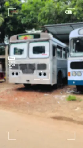 පිටින් ගමට එන ඒවා 😁 #nethu #nethucreations #fyp #creatorsearchinsight #fypシ゚viral 