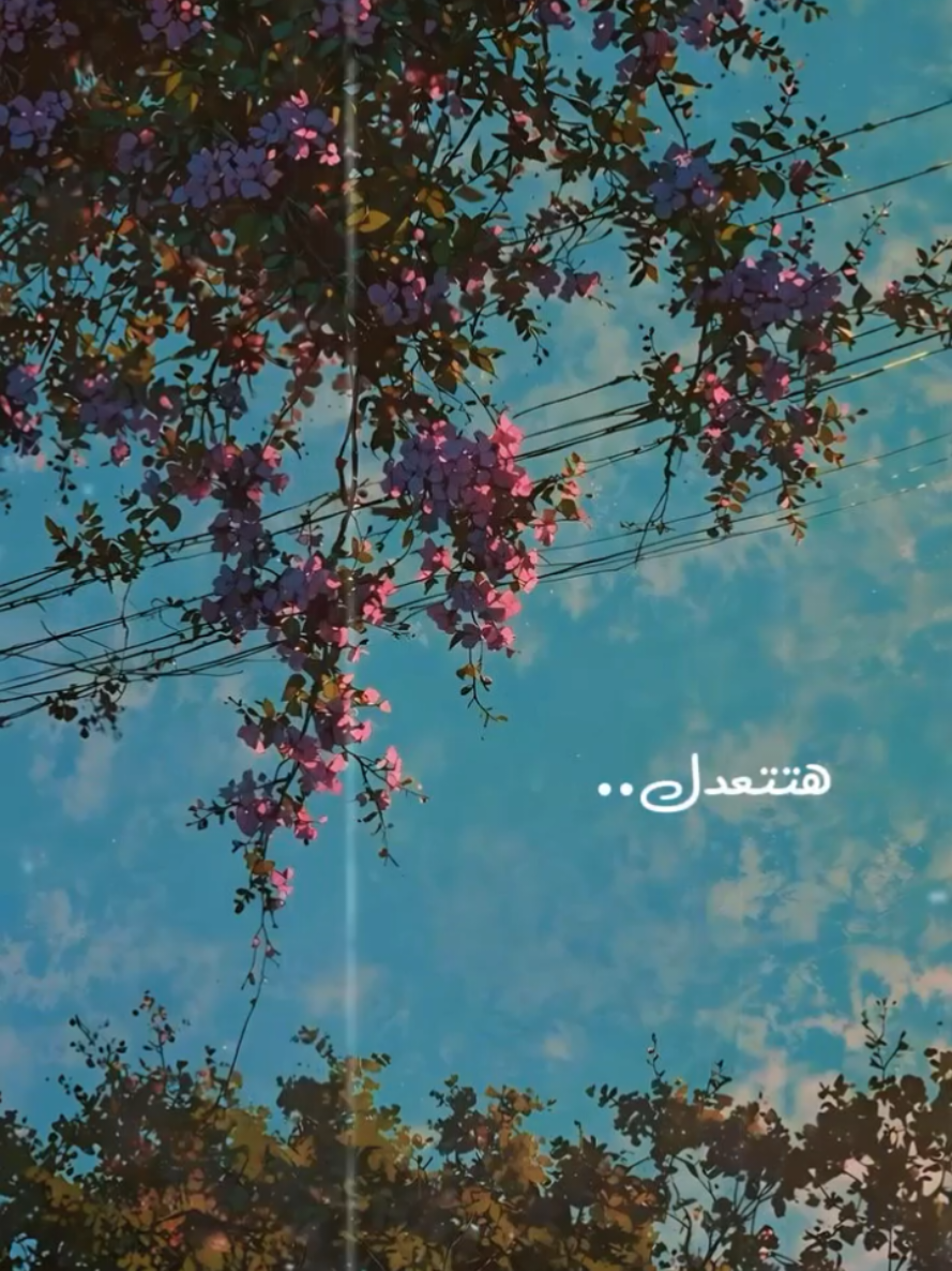 🌷🌞 #CapCut #اكسبلور #قصائد_شعر_خواطر #fypシ 