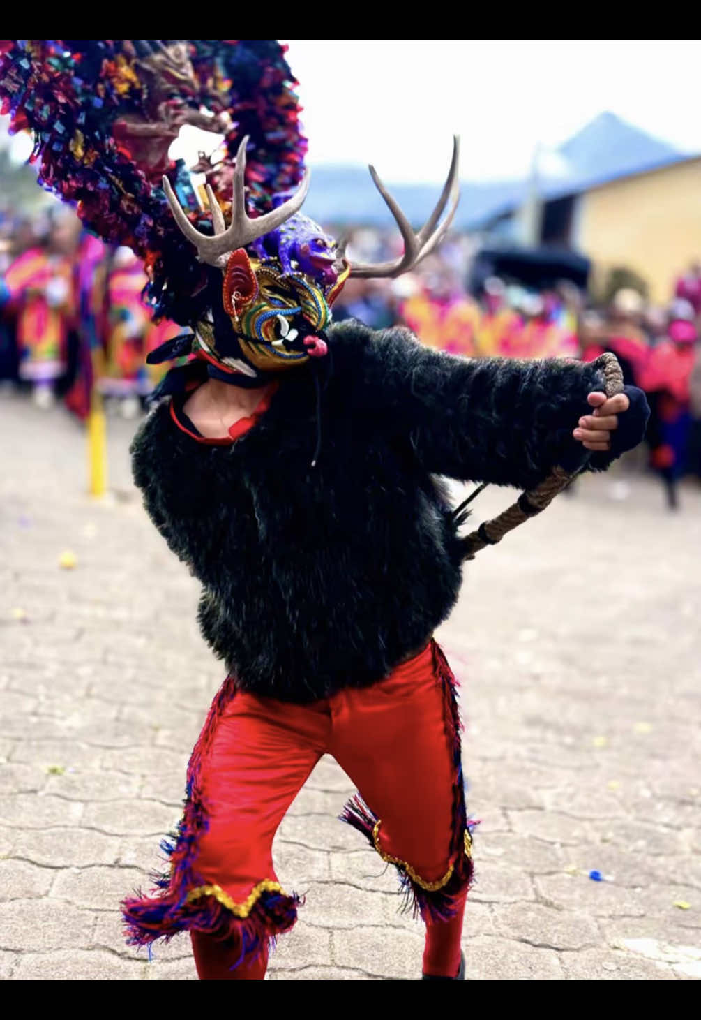Autentico ♥️👑#diabladapillareña2026♥️🍃 #pillaro_viejo🇨🇬_ecuador🇪🇨 #malditolicorte_odio_ytequiero_tanto🍻 #lavidaesdemomentos 