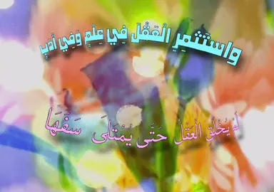 #fyp #اكسبلور #umsl6 #ام_صالح 