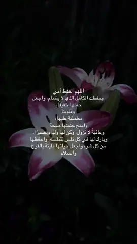 #قران #اللهم_يسر_لها_حملها#foryoupage 