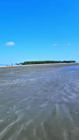 ও মুর্শিদ ও একে আমার ভাঙ্গা নাও তার উপরে তুফান বাও#coxbazarbangladesh #beutyfull_moments #গার্মেন্টস_শ্রমিক❤ #ভাইরাল_ভিডিও_টিকটক। 