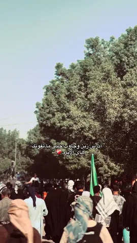 دير بالك على دراستك حتى ماتفوتك هاي الايام لان ايام المشايه هي اجمل ايام العمر .. #مشايه_لاربعينيه #الاربعينيه #تصويري #اعادة_النشر🔃 #اكسبلور 