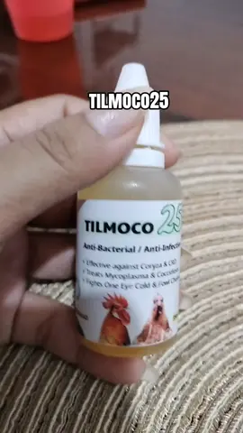 #tilmoco25 #fyppppppppppppppppppppppp #creatorsearchinsight #tiktokaffilliatemarketing #viral?tiktok🥰fyppppppppp 