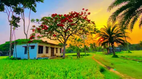 @TikTok Bangladesh @tiktok creators @TikTok 