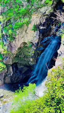 Jarogo abshar #uktiktok #naturelover #fy #foryoupage 