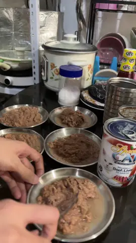 SPECIAL CAT MOUSSE WET CAT FOOD #specialcatfood #catfood #wetcatfood #cannedcatfood #catessentials 