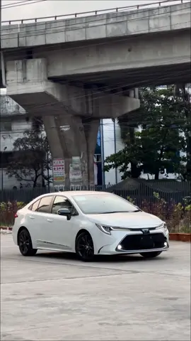 2021 Toyota Corolla WXB #toyota #corolla #corollawxb #foryou #viral