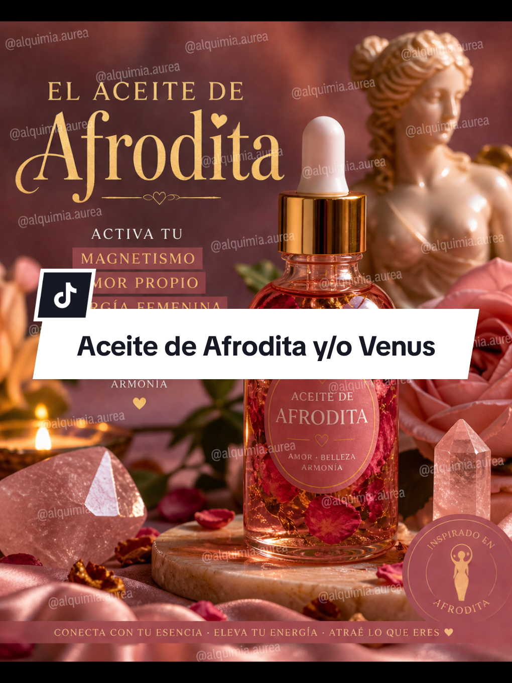 ACEITE DE AFRODITA O VENUS.       Afrodita es la diosa griega y Venus es la diosa romana, son diosas equivalentes, son los diosas del amor la belleza y la fertilidad, a menudo consideradas la misma deidad bajo distintos nombres. Afrodita surge de la espuma del mar, mientras que Venus aunque absorbió los mitos griegos tenía un origen itálico y carácter más maternal.  Pero ambas son figuras centrales del amor en sus respectivas culturas.   aquí te dejo un ritual que puedes consagrarlo con cualquiera de las dos deidades los materiales que vas a necesitar son los siguientes:  30 ML de aceite de jojoba (recomendado) (ALTERNATIVA:) Aceite de almendras dulces 🌹 pétalos de rosas rojas o rosas secos  💫 5 gotas de esencia de jazmín  ✨4 gotas de esencia de vainilla  ⭐1 gota esencia de canela o una pizca de canela en polvo.  🌟2 gotas de geranio  🔸2 clavos de olor  🔅1 pequeña ramita de lavanda  ♦️OPCIONAL esencia de ylang ylang (1-2 gotas máximo). 🫙1 frasco color ámbar  💎1 cuarzo Rosa o amatista (opcional) 🔸mica cosmética Rosa o dorada ( esta es opcional solo una pequeña pizca). Para elaborarla primero vamos a purificar el espacio y el frasco que vas a utilizar, puedes pasarlo por humo de incienso o simplemente sostenerlo entre tus manos mientras marcas tu intensión, puedes decir lo siguiente:   