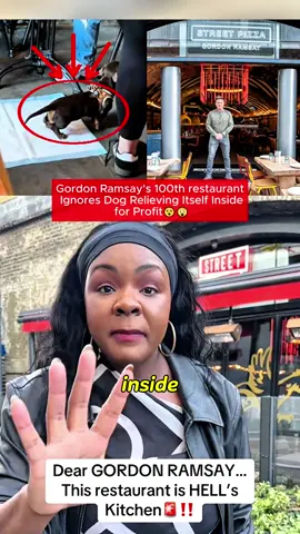 Restaurant Allows Woman's Dog To Relieve Itself Indoors, No Consequences #foryou#usa🇺🇸 #life#loredeepdive #tiktoktvfilmcontest 