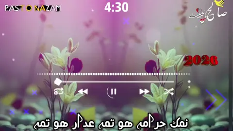 نمک حرامہ ھو تمہ عدار ھو تمہ#viral #video #foryourpage #falow🙏 plz ma account nufrzee viral video tiktok plz